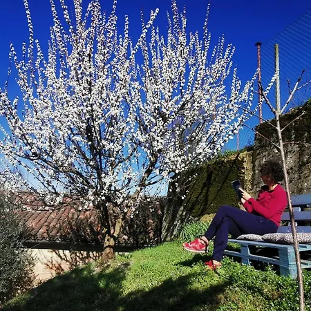 Casa Graziella- Appartamenti Vacanze Portacomaro Exterior photo